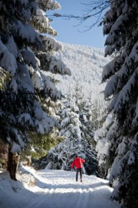 The Best Cross Country Skiing Trails in Wausau 1 The Best Cross Country Skiing Trails in Wausau 1