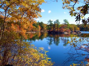 See Unspoiled Fall Foliage in Wausau 2 See Unspoiled Fall Foliage in Wausau 2
